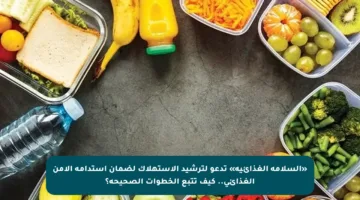 «السلامة الغذائية» تدعو لترشيد الاستهلاك لضمان استدامة الأمن الغذائي.. كيف تتبع الخطوات الصحيحة؟